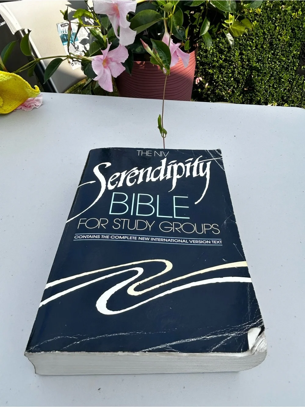 Serendipity Bible for Study Groups - Black